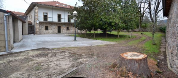 La alcaldesa ha explicado que no hay constancia en el Ayuntamiento de quién ha cortado el árbol