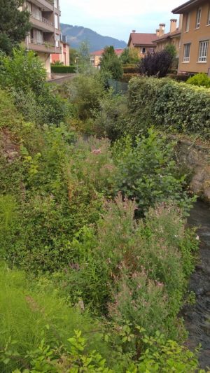 Foto del río Muriago aportada por el PP