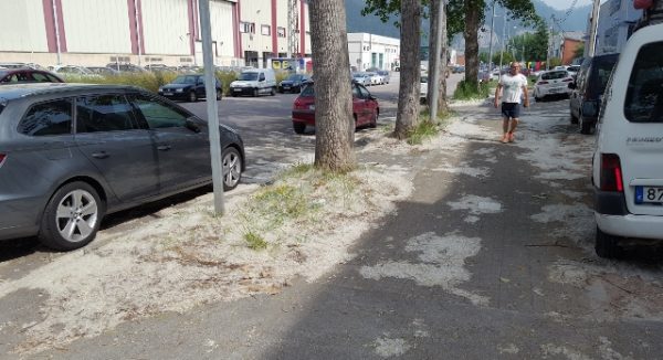 Masa blanca en los paseos del polígono