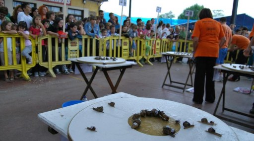 Carrera de caracoles San Mateo