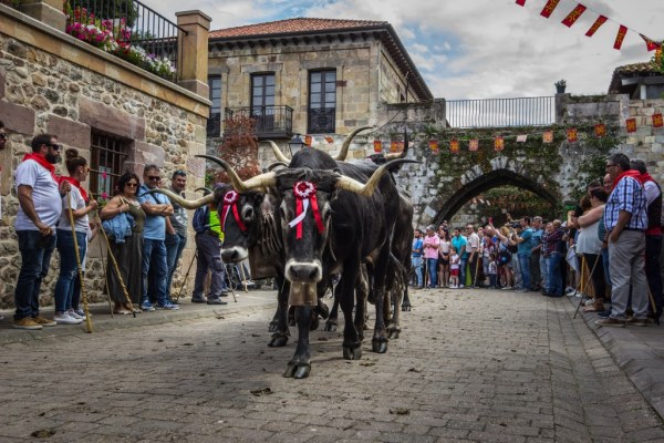 Pasada tudanca en el Camino Real