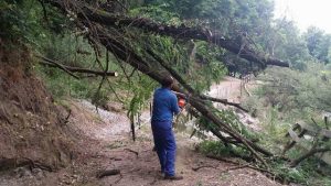 Medio Ambiente agiliza las obras de mejora del carril-bici para evitar el verano