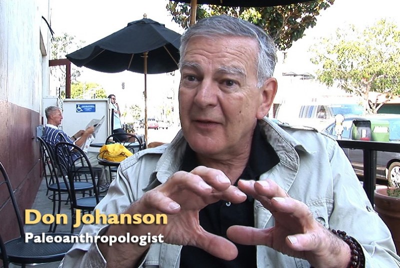 Donald Johanson