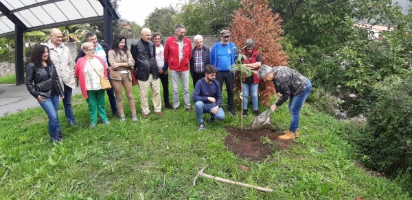 Plantación del castaño en Barros