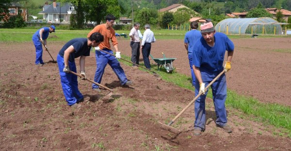 Participantes en los huertos ecológicos