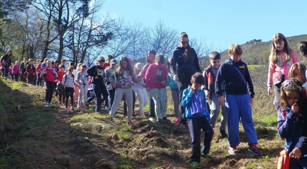 La Asociación Cultural de Bosques de Cantabria les ha informado sobre sus repercusiones y de los perjuicios de las plantas invasoras