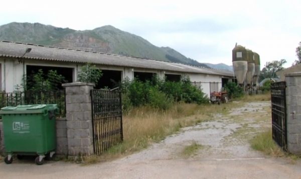 La estabulación donde fueron descubiertas las vacas muertas. / Sane