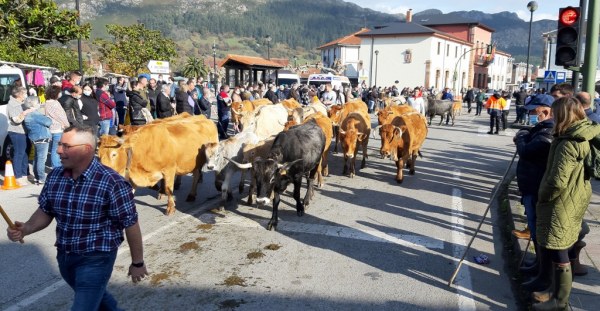 Se busca organizador para la feria de San Felices