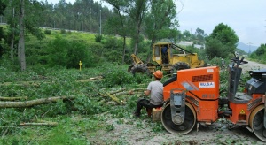 La Chopera se queda sin chopos