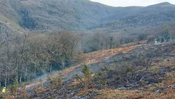 Vecino sorprendido cuando prendía fuego al monte Canales de Silió