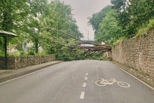 La caída de un gran árbol corta la carretera entre Las Fraguas y Arenas de Iguña