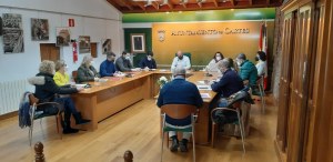 Primera sesión plenaria del año en Cartes