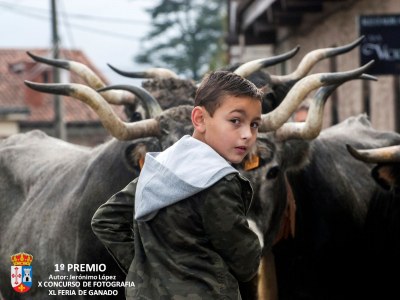 El primer premio del Concurso Fotográfico de la Feria de Arenas se va para Toledo