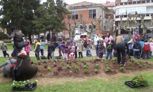 La reforma de la plaza la ejecutará una empresa asturiana